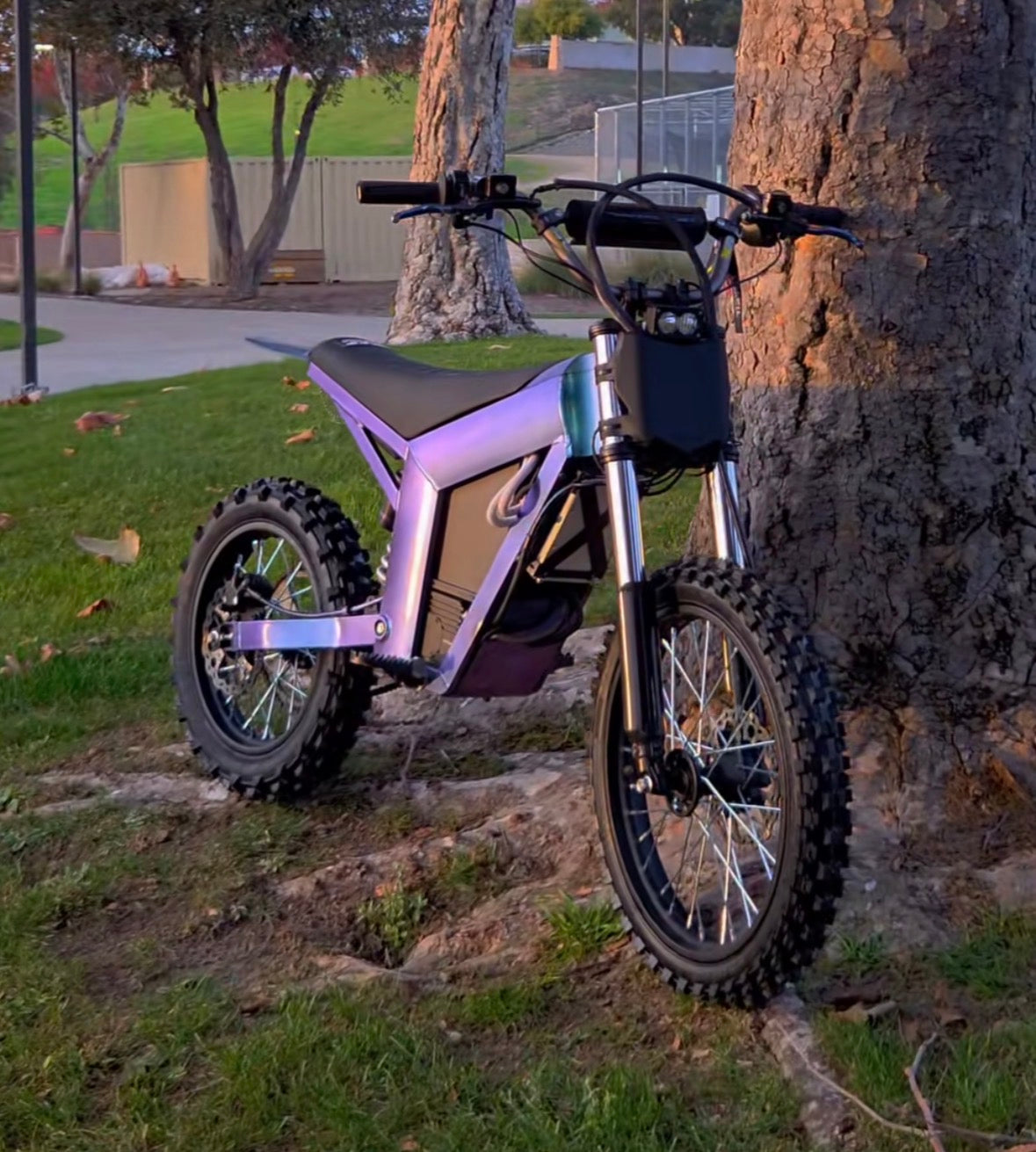 𝘼𝙇𝙇 𝙏𝙐𝙏𝙏𝙄𝙊 ->