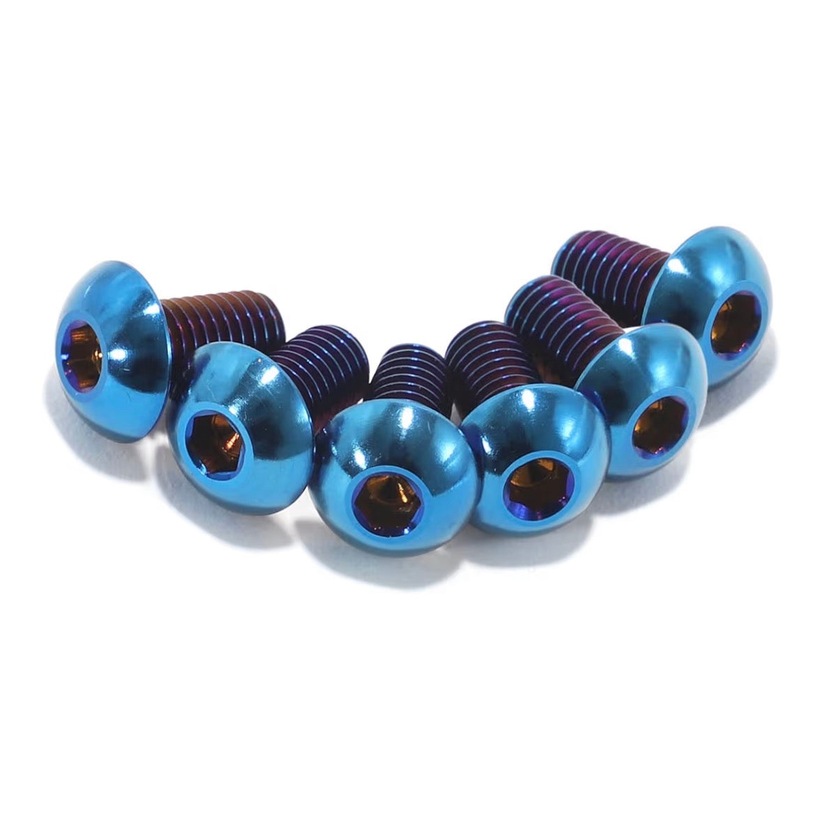 All E-Moto Fork Guard Titanium Bolts